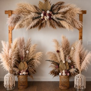 Pampas Florals